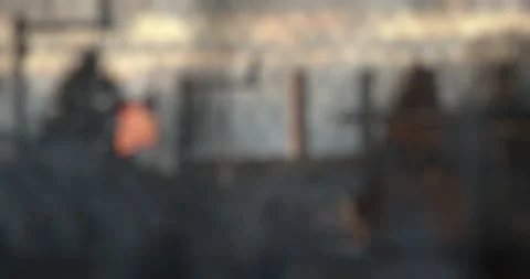 Prison, correctional facility, Rack focus sunsetting. Stock Footage 143759710