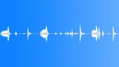 PRISON, DOORSound Effect