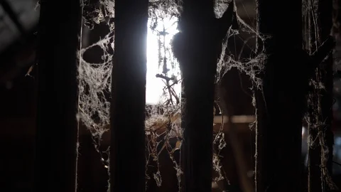 Prison. No-win situation. Encouraging light. Horror in the attic. Stock Footage 129638478