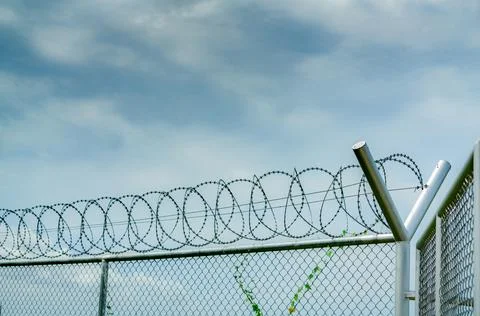 Prison security fence. Barbed wire security fence. Razor wire jail fence. B.. Stock Photos