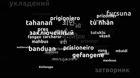 Prisoner Translated in 57 Worldwide Languages Endless Looping 3d Zooming Word Video stock 145197599