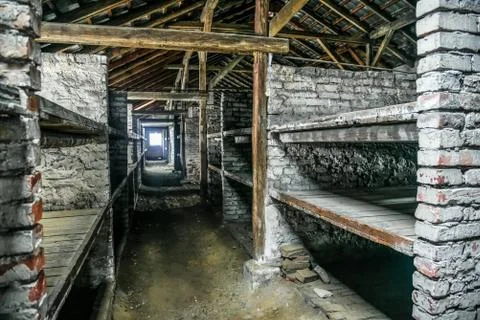 Prisoner's beds, bunks inside barrack in Auschwitz Birkenau Museum. Foto stock
