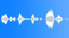 PrisonGuardVistorsRm2 Sound Effect