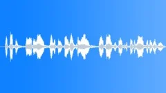 PrisonRiotAnnouncerSound Effect