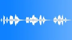 PrisonRiotAnnouncrIISound Effect