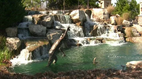 Pristene Waterfall Stock Footage 641749