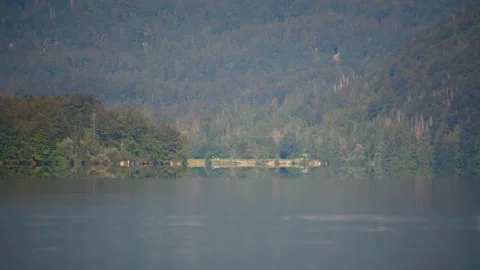 Pristine Alpine lake Bohinj in summer season Stock Footage 160118260