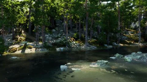 Pristine alpine paradise, with a tranquil lake and towering evergreens Stock Illustration