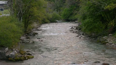 Pristine Alpine river flowing downstream Stock Footage 140331304