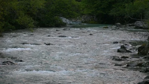 Pristine Alpine river flowing downstream Stock Footage 140331333