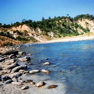Pristine alpine river landscape with transparent water stones and green mountain Stock Photos