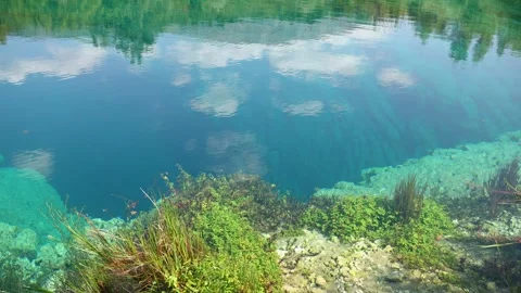 Pristine Alpine Spring Water with Visible Aquatic Plants, Rocks and Cloud Stock Footage 318901994