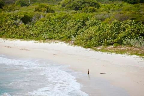 The pristine and hard to reach beach in the Rendezvous Bay in Antigua. Stock Photos
