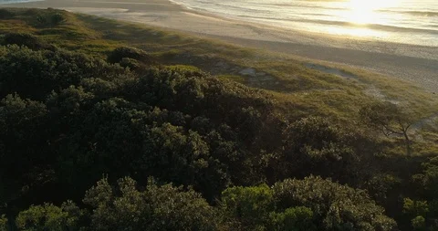Pristine Australian NSW beach landscape at sunrise Stock Footage