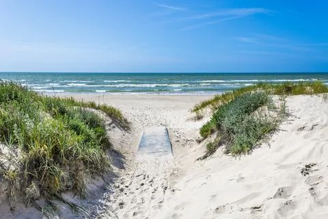 Pristine Baltic Sea Beach Path Through White Sand Dunes and Grassy Marram Under Stock Photos