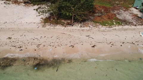 Pristine Beach Marred by Pollution Crisis Stock Footage 260689037