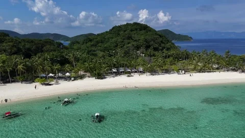 Pristine Beach with Palm Trees and Crystal Clear Turquoise Waters Stock Footage 295790527