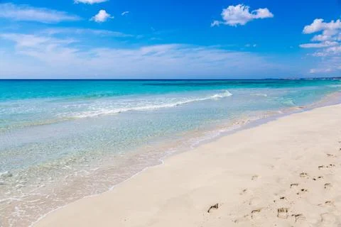 Pristine beach with turquoise ocean water under blue sky Stock Photos