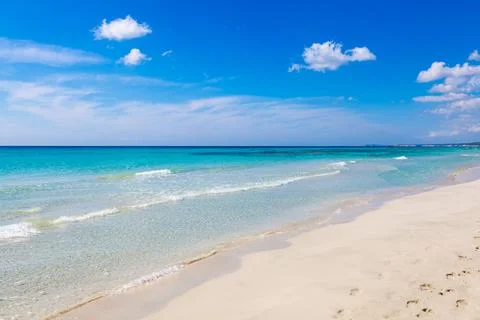 Pristine beach with turquoise ocean water under blue sky Stock Photos