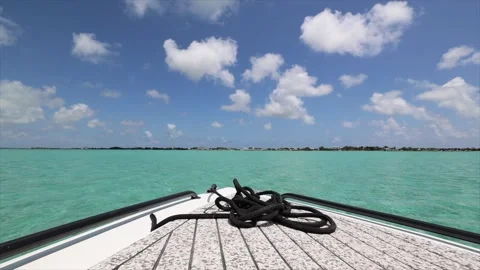 Pristine Belize Coastline - Turquoise Water &amp; Mangrove Habitat | Earth Day Stock Footage 274691953