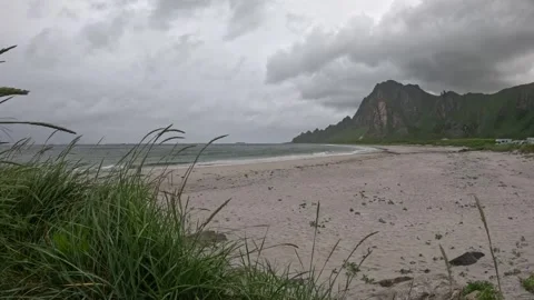 Pristine Bleik beach with dune grass blowing in wind and mountains Norway Vídeos de archivo 343130670