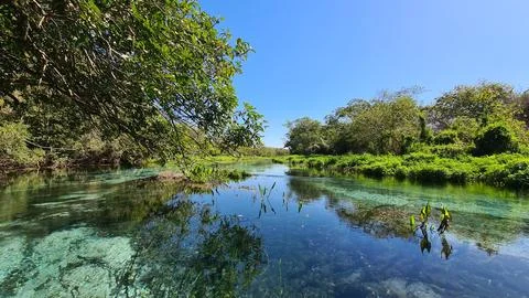 Pristine Blue Spring River. Stock Photos