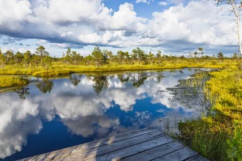 Pristine Bog Boardwalk over Mirror Like Wetland with Clouds Reflected. Kemeri Stock Photos