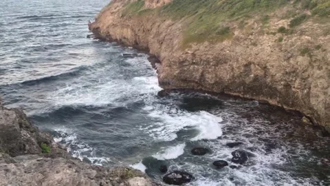 Pristine Caribbean seashore valley Stock Footage 205529097