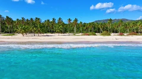 Pristine clean paradise beach and sea on a palm island. Видео 332284427