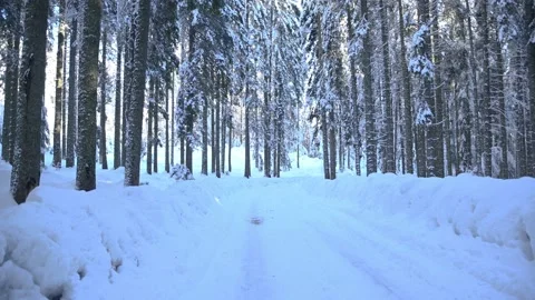 Pristine countryside road in forest covered with snow Stock Footage 145814893