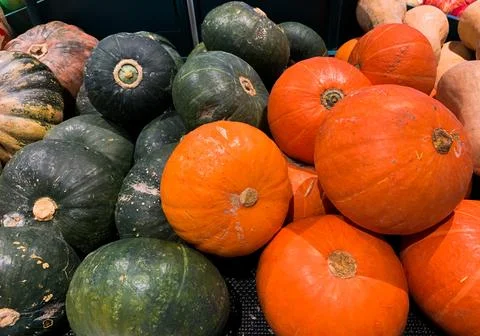 Pristine Flat Lay Composition Featuring a Range of Freshly Harvested Pumpkins Stock Photos