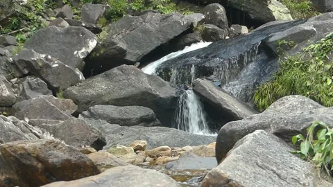 A pristine flowing water on beautiful rocks in a waterfall in Malaysia Stock Footage 155591716