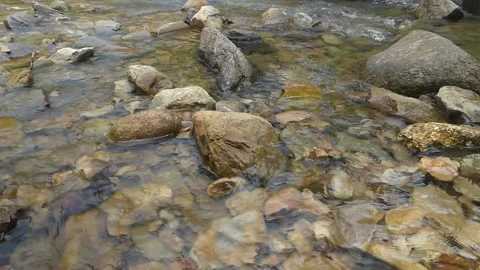A pristine flowing water on beautiful rocks in a waterfall in Malaysia Stock Footage 155591846