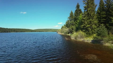 Pristine Forest Lake Mountain Pine Trees Stock-Footage 308225258