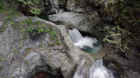 Pristine forest waterfall, clear river, evergreen forest, BC, Canadian nature Stock Footage 246610835