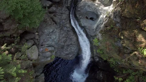 Pristine forest waterfall, clear river, evergreen forest, BC, Canadian nature Stock Footage 250193184