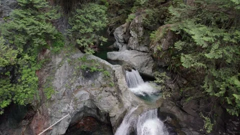Pristine forest waterfall, clear river, evergreen forest, BC, Canadian nature Stock Footage 250951275