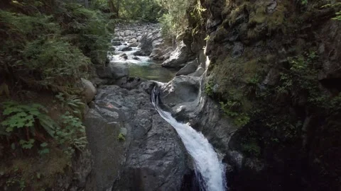Pristine forest waterfall, clear river, evergreen forest, BC, Canadian nature Stock Footage 258808173