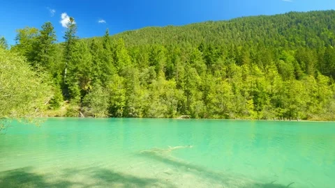 Pristine Forests and Blue Waters at Little Plansee Lake in Austria  Beautiful Stock Footage 308646913