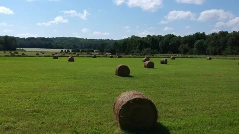 A pristine green field with round hey bails. Filmed by ascending drone. Видео 137113635