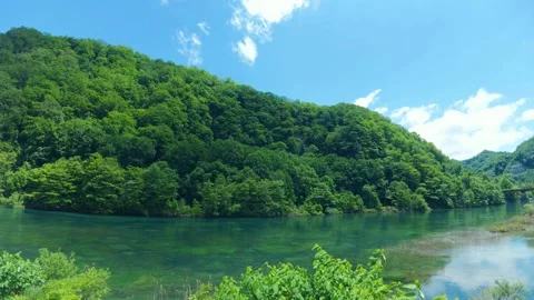 Pristine Green River and Lush Forest Mountains in Summer - Japan-No Audio Video stock 336589766