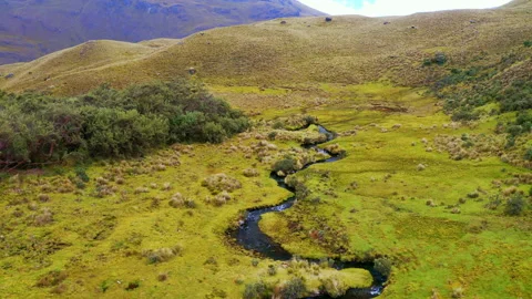 A pristine high-altitude stream flows through a peaceful valley Video stock 162350446