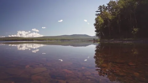Pristine lake with forest reflections Stock Footage 320317215