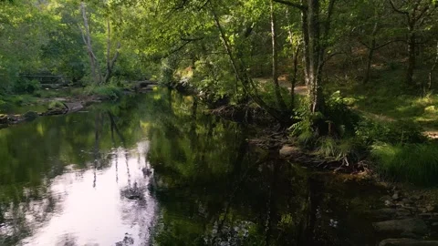 Pristine Lake With Reflections At Refugio de Verdes, A Coruña, Spain. Wide Shot Stock Footage 249727269