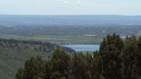Pristine Lake Resting Behind Thick Line of Evergreen Trees Stock Footage 156215174