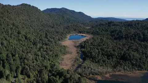 Pristine Lakes Surrounded by Dense Forest Stock Footage 303603854