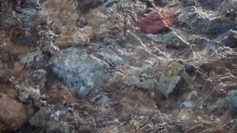 Pristine Mountain Creek with Crystal Clear Water in a Lush Natural Landscape Stock Footage 341872631