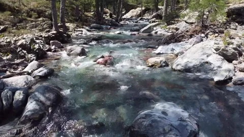 Pristine Mountain River Cascades in Corsican Wilderness Stock Footage 253580972