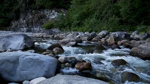A pristine mountain river flowing in an evergreen forest in North Vancouver. Stock Footage 115331030