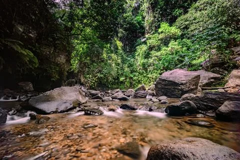 Pristine Mountain Spring. Fresh Waters in a Lush Green Paradise. Stock Photos